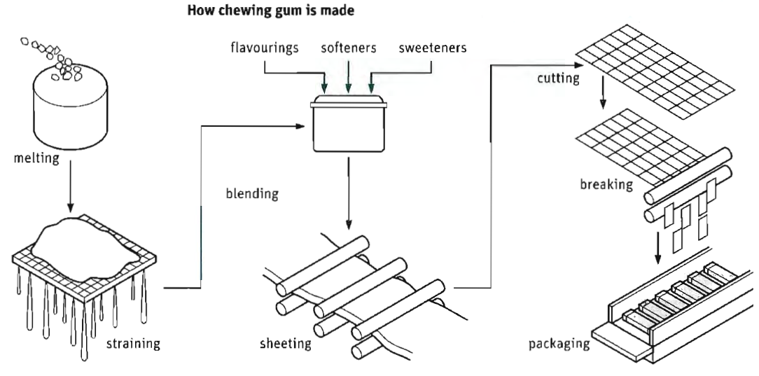 Describing Process of Making Chewing Gum
